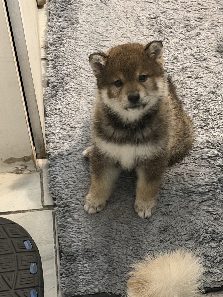 iseongmu685809's tweet photo. 부산인데 볼사람있어?
#부산 #섹트 #오프 https://t.co/xbVM1iSVl7
