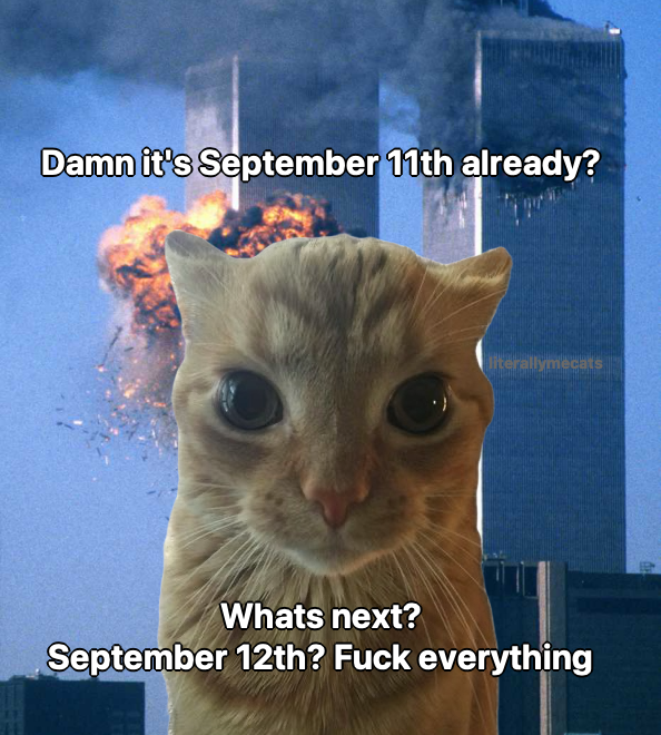 literallymecats's tweet photo. https://t.co/9QsHjrX2I0