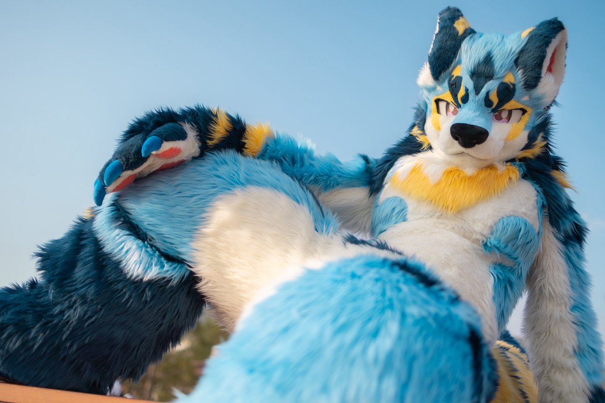 leiwolf0324's tweet photo. 好きって、どういう意味で言ってるの〜？

#FursuitFriday https://t.co/rnVTDDwlmI