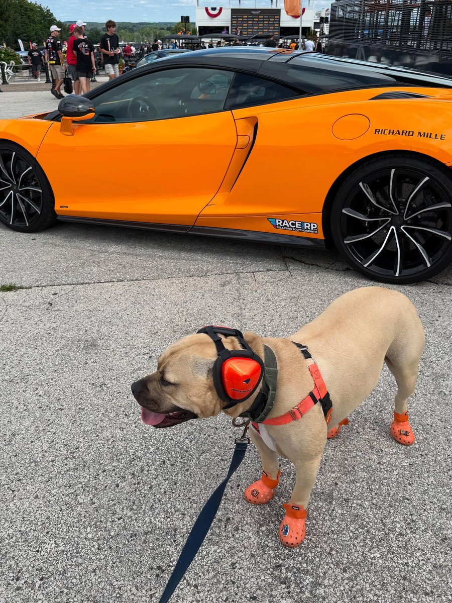 ArlaParlatil's tweet photo. Rocking my orange Crocs, McLaren ear protection, and posing with the big dogs—the McLarens. Who wore it better: me or the cars? https://t.co/cKrwi4QPhI