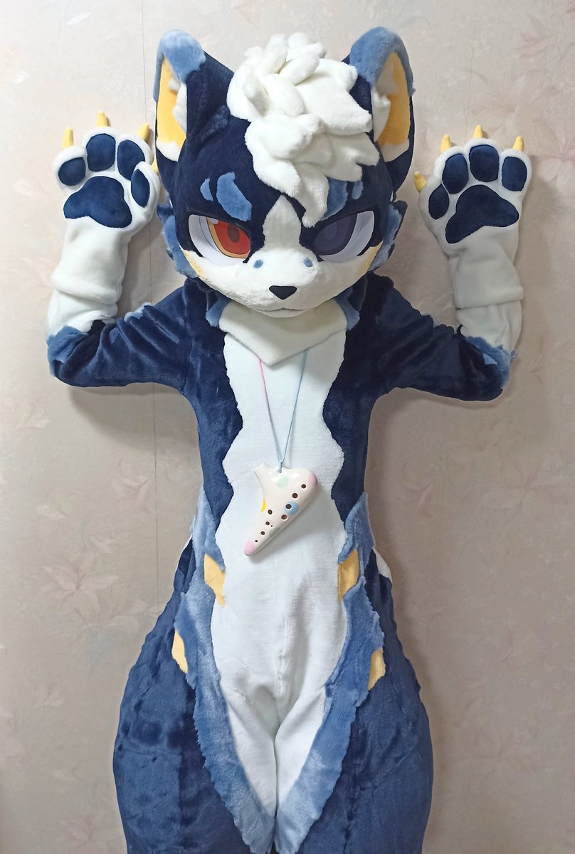 Polaccca's tweet photo. ケモコン参加します、リュポです！
お着替えいっぱい練習しています！
よろしくお願いします！
#Kemocon19 https://t.co/YADRS2QtSj