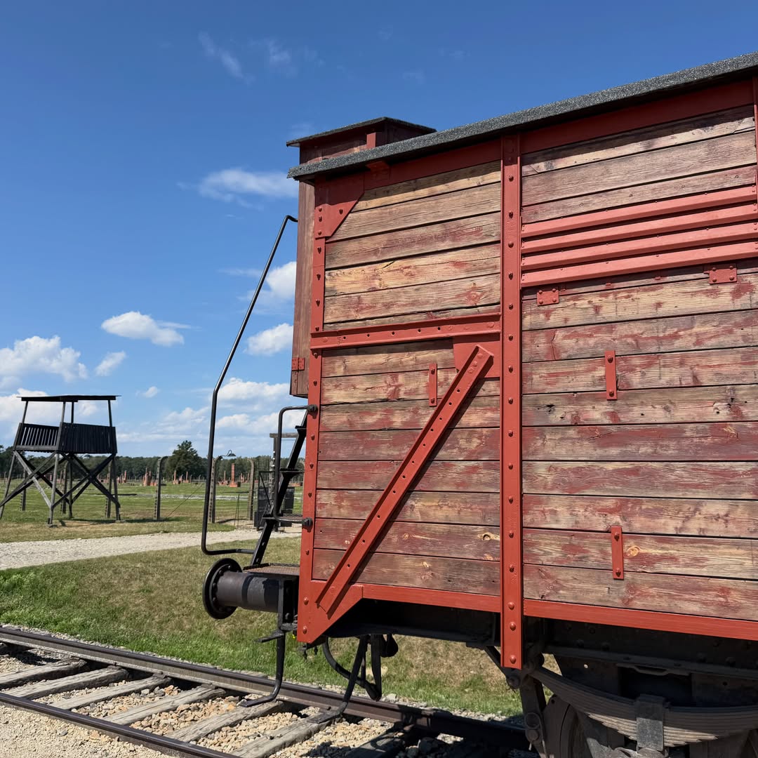 KarrenWeargrrx's tweet photo. The concentration and extermination camps of [ ] and [ ]. A necessary act of remembrance. Beyond the scale and horror, what shocks me most is the cold, methodical inhumanity: thousands assessed, stripped, and murdered daily. Life always prevails. https://t.co/j4ldORqCnH
