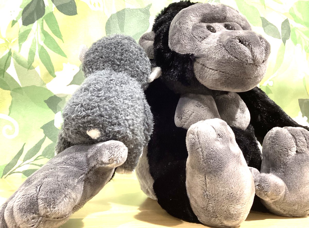 GORILLANDshop's tweet photo. 大人気！ゴリラ赤ちゃんぬいぐるみボールチェーン✨

お気に入りの子を見つけてくださいね🎵
お尻には赤ちゃんの頃にだけ見られるベビーシグナルも…🍼

オンラインショップでも販売中です！
赤ちゃんゴリラぬいぐるみボールチェーン | GORILLAND ONLINE SHOP

#ゴリランド https://t.co/dS98vXLUgR