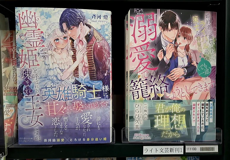 【専用】エタニティブックス・ルネッタブックス・ヴァニラ文庫・蜜夢文庫　5月新刊 うさぎやTSUTAYA宇都宮東簗瀬店 on X: 