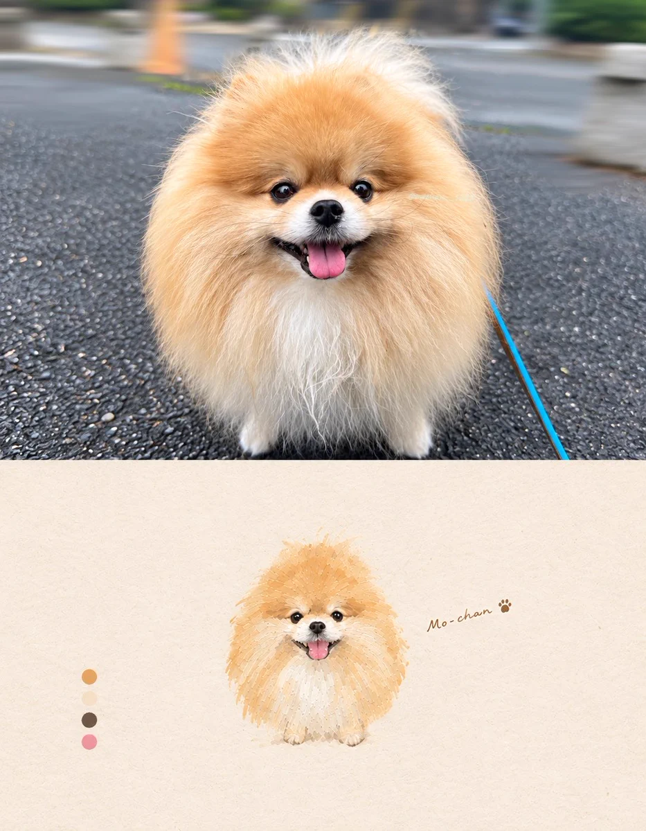もちゃん🐶🍮ポメラニアン on X: 