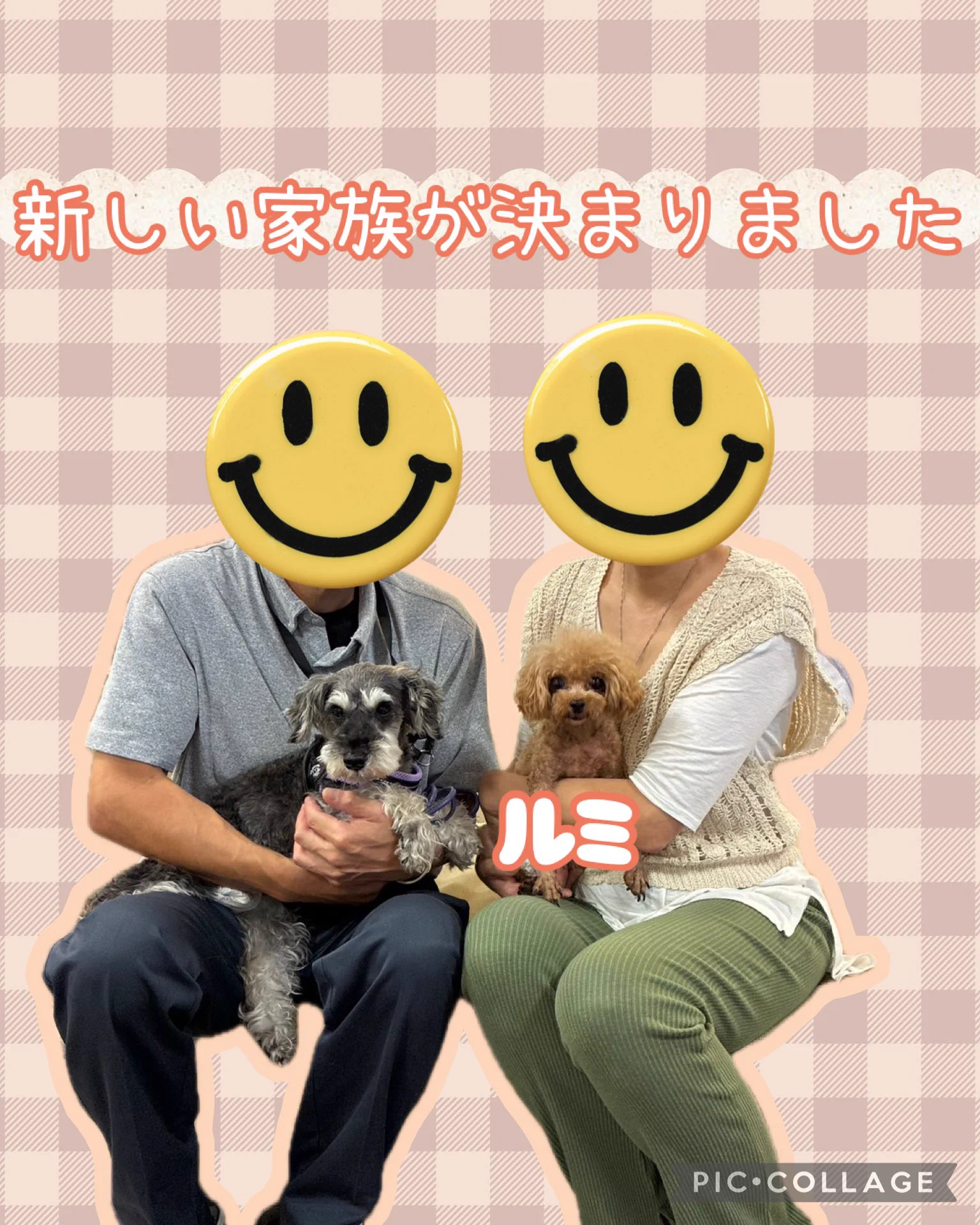 HOGOKEN CAFE® 印西店 on X: 