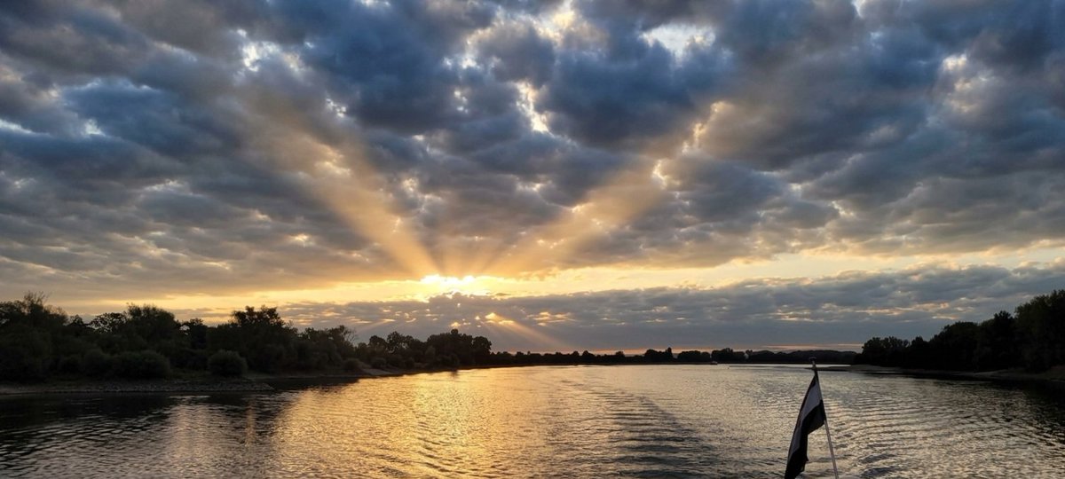 johan_klos's tweet photo. Goedemorgen mooie #zonnestralen bij #zonsopkomst bij #nierstein en een #dageraad #weerfoto @WetterOnline #binnenvaart https://t.co/wcf4nOZHD4