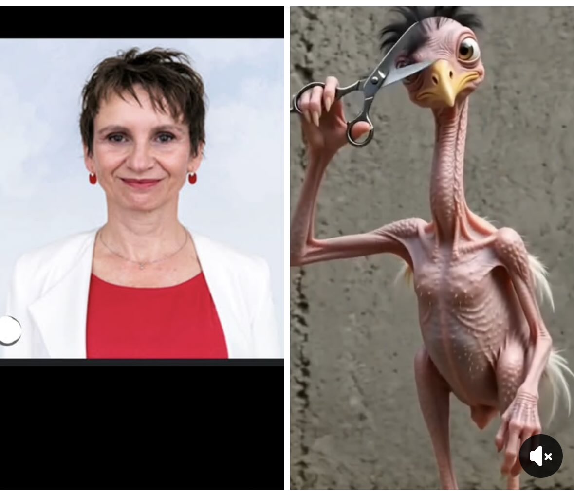 jonavarrog's tweet photo. Separadas al nacer. 
Solo faltó el megáfono. https://t.co/9fYYTa4ulX