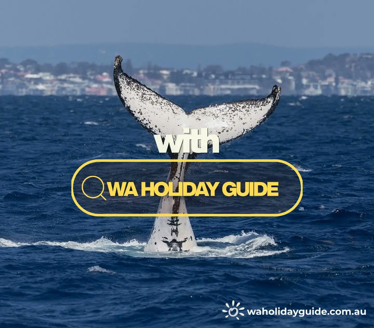ArcKbra's tweet photo. Experience one of Western Australia’s most spectacular natural events with Whale Watching Perth—unforgettable close-up encounters with migrating humpback whales along Perth’s stunning coastline. Book tours and accommodation through WA Holiday Guide. https://t.co/QJiYEQSIle