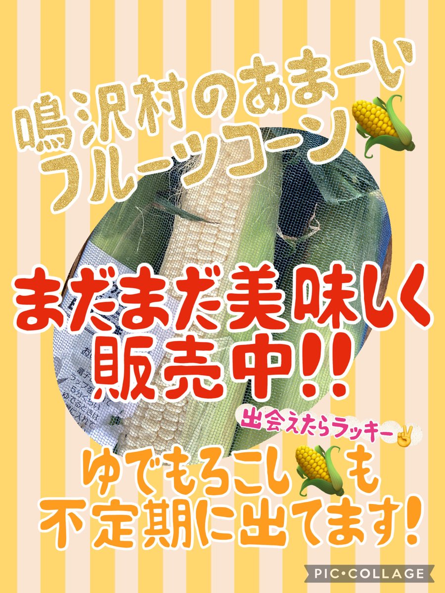 michiNARUSAWA's tweet photo. #道の駅なるさわ　では
まだまだ甘いとうもろこしを販売中です‼︎

農家さんが毎朝新鮮なとうもろこしを
日替わりで運んできてくれます🌽
赤いとうもろこしや
白いとうもろこしなど‼︎
あなたはどんなとうもろこし🌽に出会えるかなっ💛❤️💙

シルバーウィークくらいまで販売する予定です☺️ https://t.co/s3xkCLiId1
