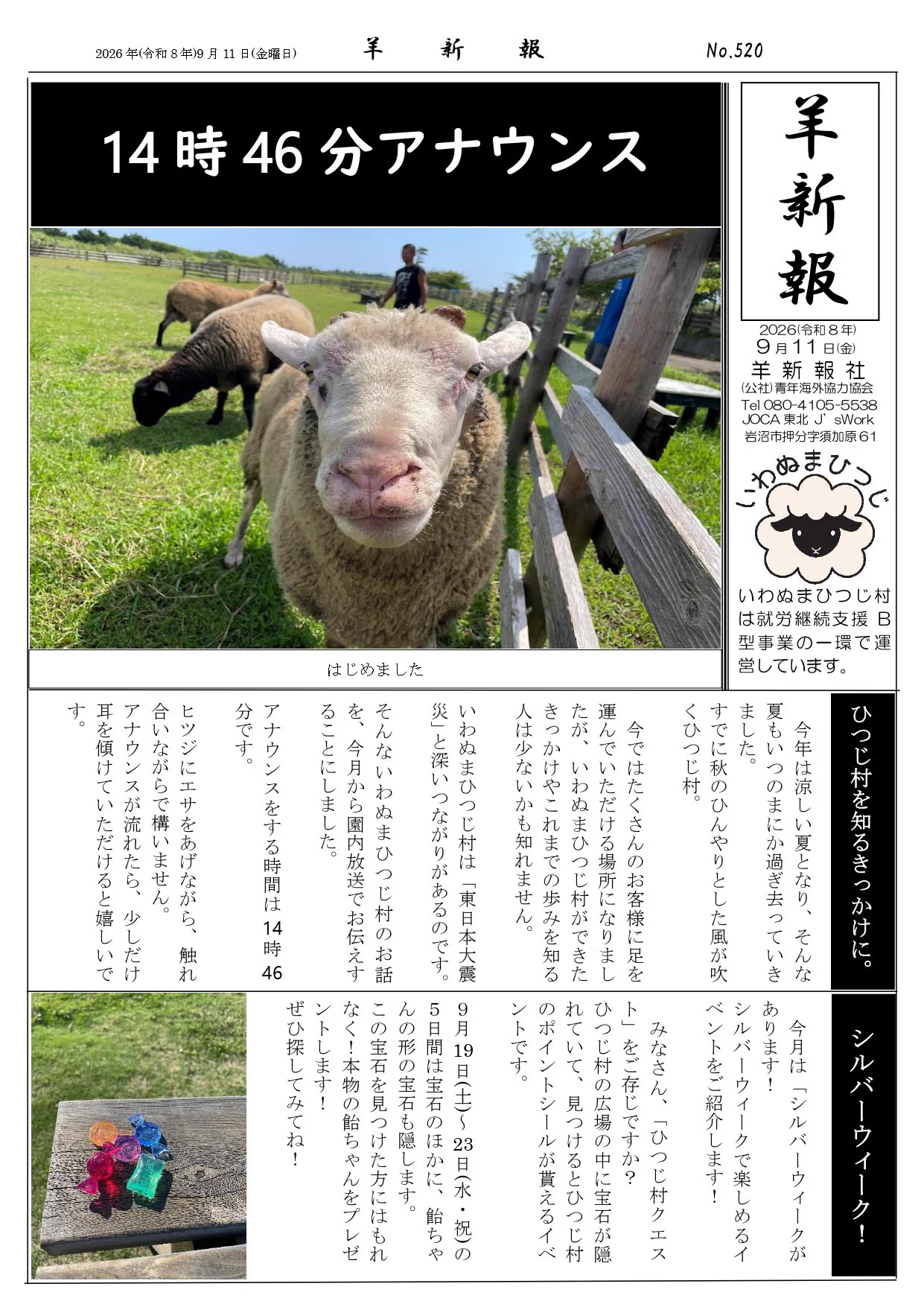 羊さまご確認用ページ 岩沼の羊飼い on X: 