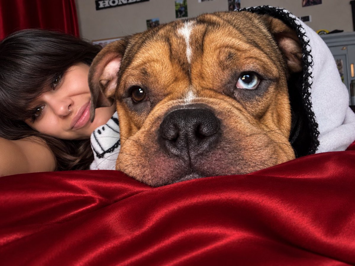 Kitten41516's tweet photo. How come my dogs a better goodboy than you? 🤔 

Love my Bane Bane 🥺❤️ https://t.co/PDKQseNAjX