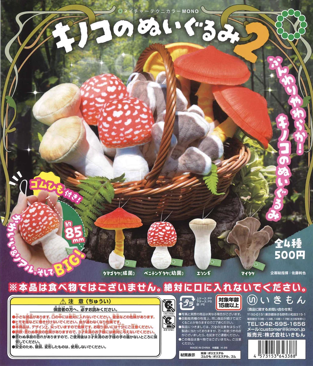 C-pla 大阪心斎橋筋北店【公式】 on X: 