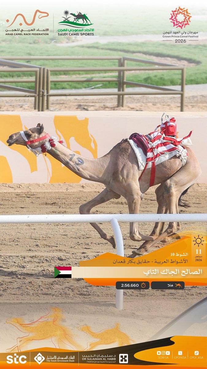 cpcfksa's tweet photo. الأشواط العربية ضمن
#مهرجان_ولي_العهد_للهجن 2026

🐪 هلا    
▫️الصالح الجاك التاي
🏁 الشوط العاشر: حقايق بكار قعدان
⏱️ 2:56.660
🎥 https://t.co/yhxW5sG4RG https://t.co/3RUqQpDLe9