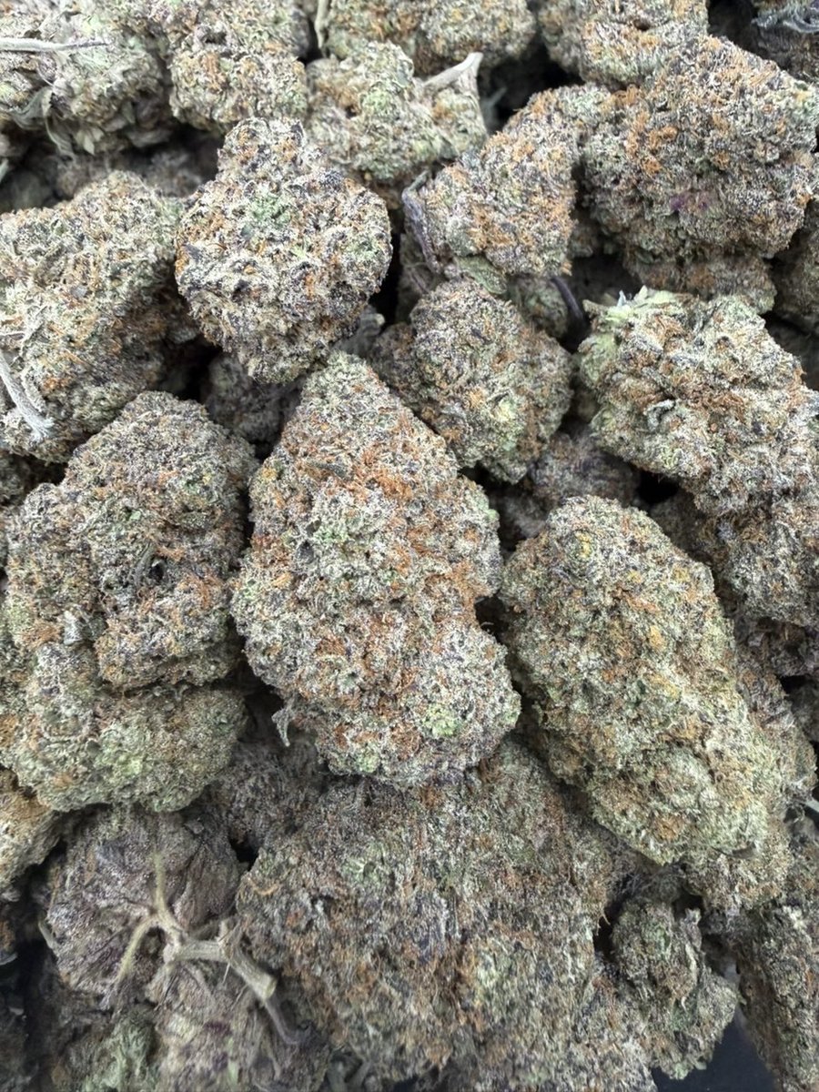 therealplug4200's tweet photo. Purple Wizard 📦 900
2+ 850
4+ 800
10+ 750
15+ 725
Intown 📍 700-650 https://t.co/C1DlsgEpZ5