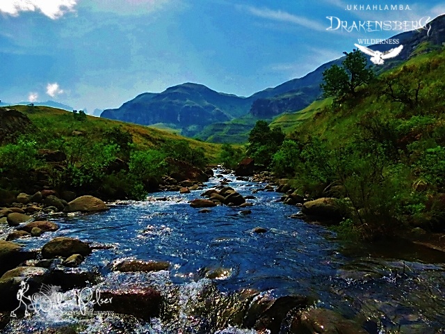 SamtashTwo's tweet photo. Visions of the KZN Drakensberg Wilderness........
Dust off them boots!

https://t.co/R16yhUHgfF https://t.co/pdujsDbY2W