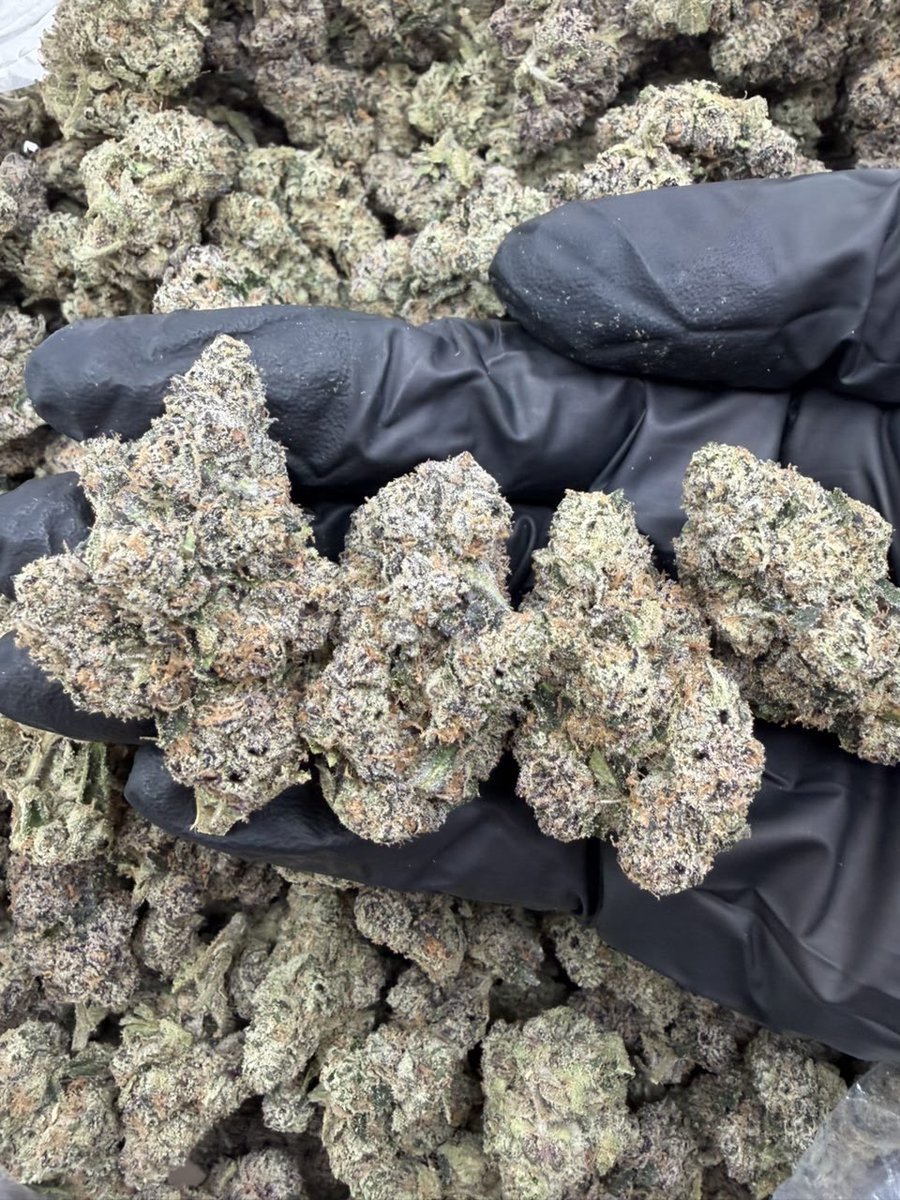 therealplug4200's tweet photo. Candy 82
📦 1200
2+ 1150
4+ 1100
10+ 1050
15+ 1025
Intown 1000-975 https://t.co/bs1RivcpQW