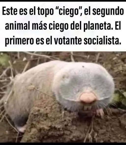 DapieCiudadano's tweet photo. https://t.co/sDsuD44Qqt