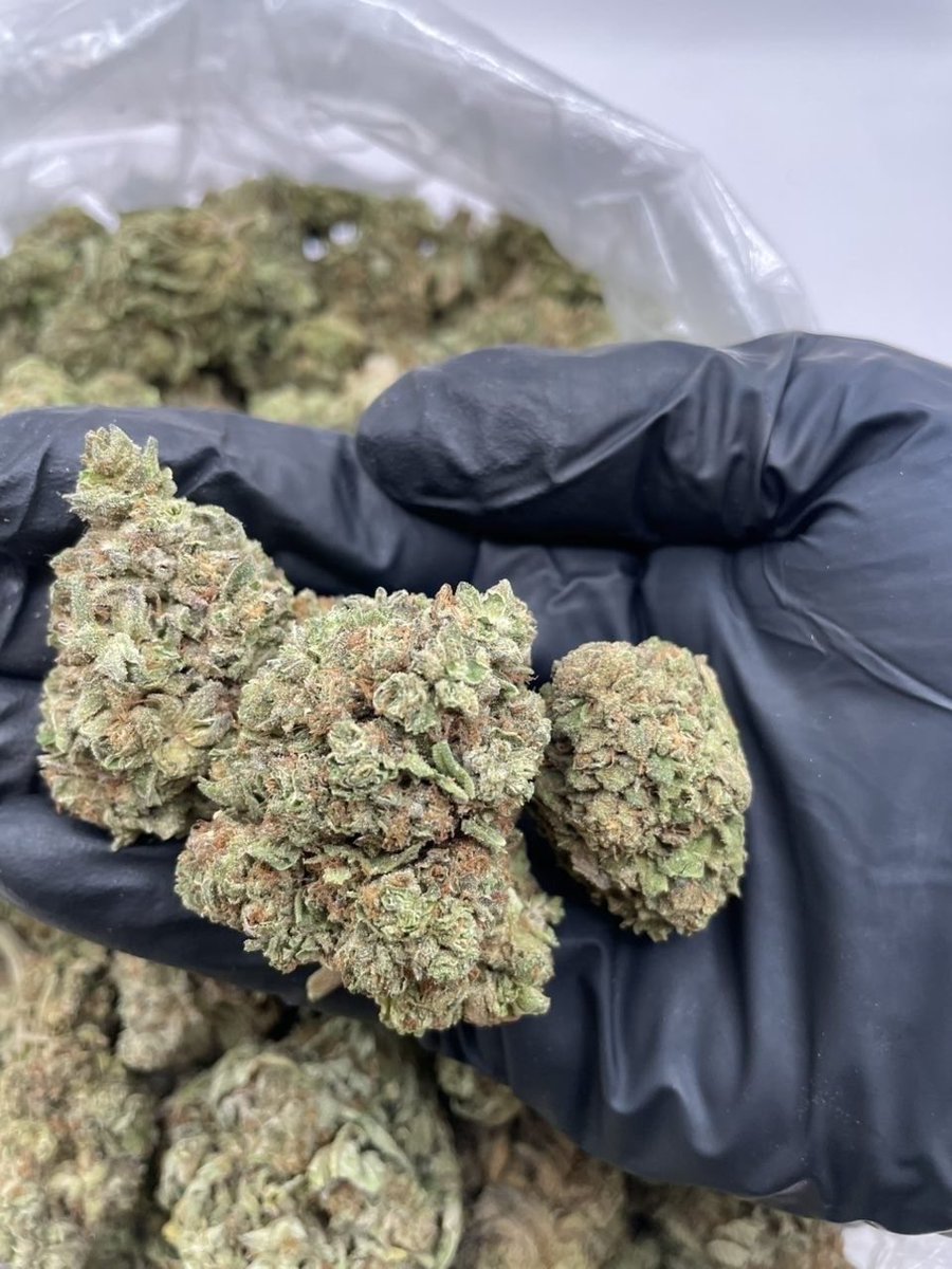 therealplug4200's tweet photo. Green Cheap Packs 
🚀 575
2+ 525
4+ 475
10+ 425
15+ 400
Intown 375-325 https://t.co/GDM1sc9RPr