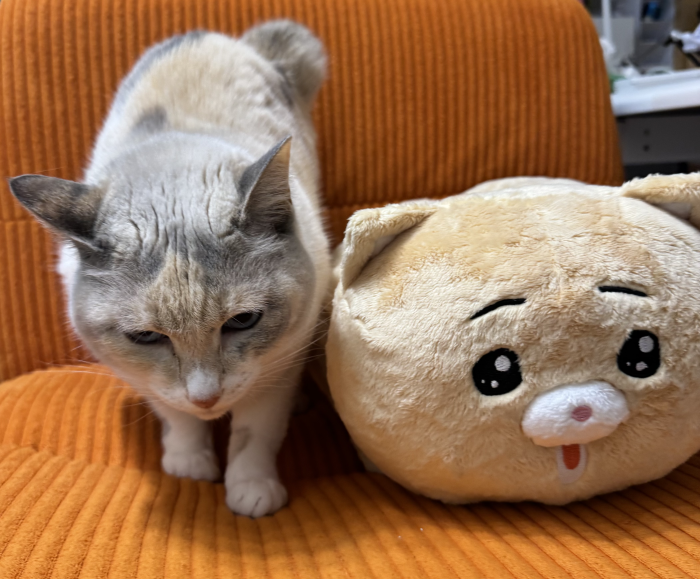 peroty6e's tweet photo. クラファン終了まで残り23日です⌚️
よろしくお願いします🙇‍♂️ https://t.co/YvjpCB9xsD