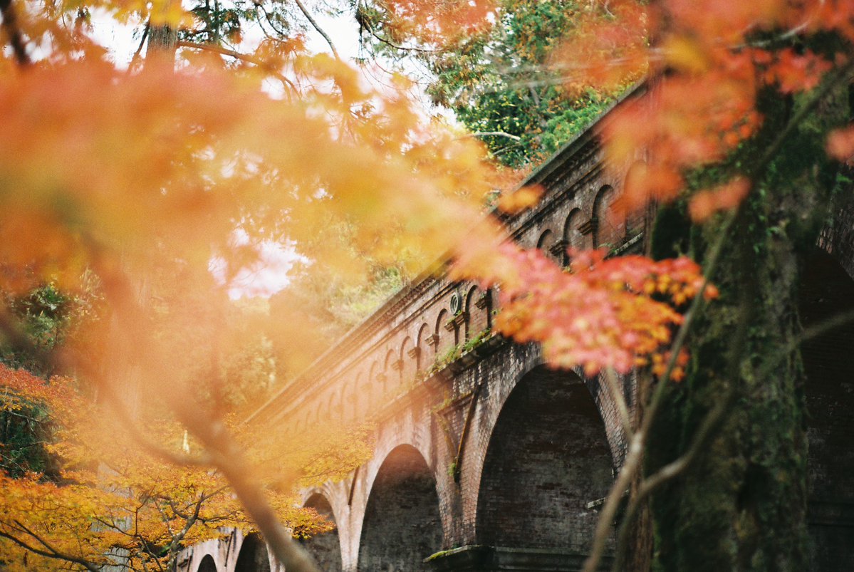 kyoto_triptime's tweet photo. 秋の南禅寺・水楼閣は綺麗だな。赤と緑のコントラスト、趣のある水路橋。夕暮れ時がお勧めです。
秋の京都に行こう。  
＃京都 ＃秋 ＃秋の空 ＃旅行
【PR】京都宿泊に待月亭  
一軒家貸切で4人まで泊まれるので、割り勘すればリーズナブル。京都旅の拠点にどうぞ🙌
https://t.co/tMjqHzeUQ8 https://t.co/CAFEdXSxnT