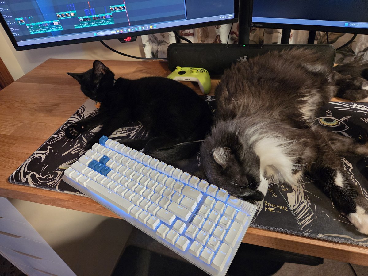 ALegendaryDrops's tweet photo. Im losing the war right now. https://t.co/E6tgcGdQl6