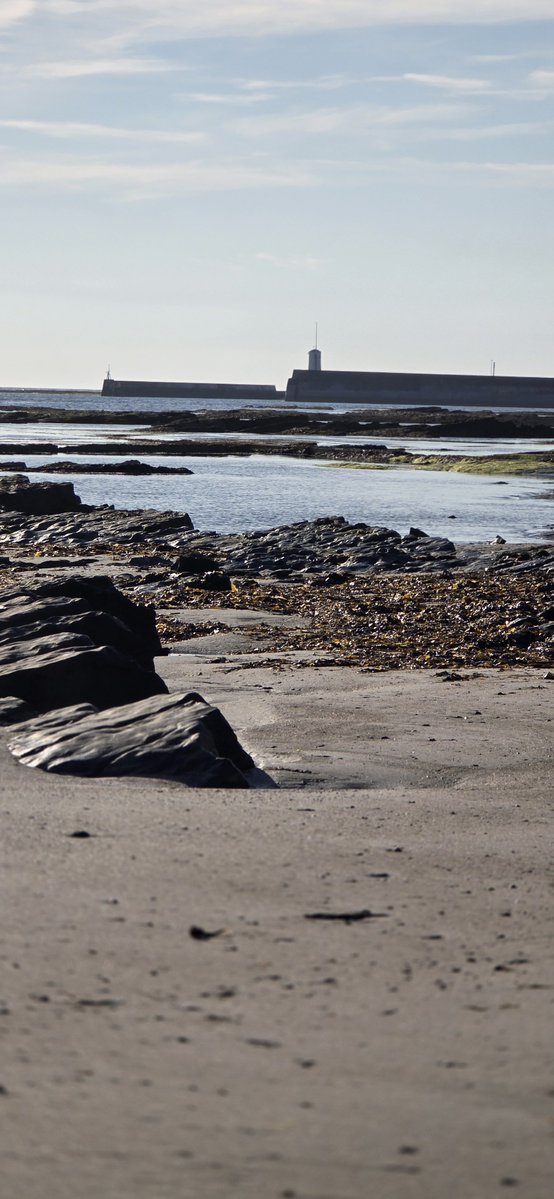 Alan_C_1's tweet photo. Morning guys, a walk along to the north beach this morning 
#Seahouses 
@NorthEastTweets https://t.co/bnvIpAR8xv