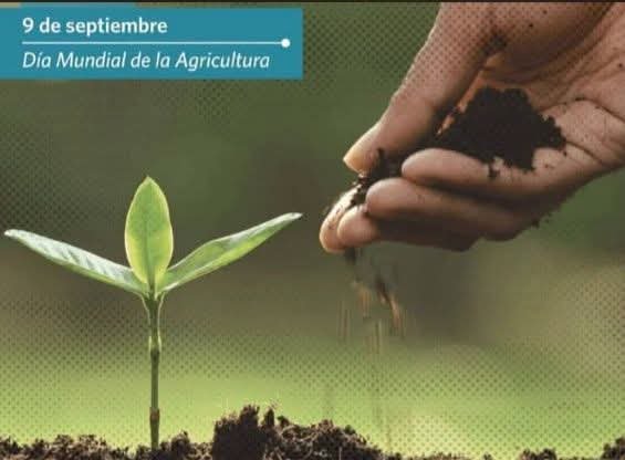 ICACuba's tweet photo. En el Día Mundial de la Agricultura, el Instituto de Ciencia Animal de Mayabeque, Cuba, ratifica su compromiso de continuar aportando a la seguridad alimentaria del país.
#Cuba #ICACuba #ciencia #Agricultura #Mayabeque @CubaMES https://t.co/zr8MnCRcYM