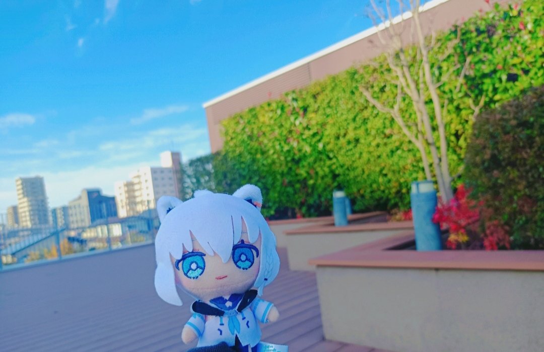 gakuseisukonbu's tweet photo. 【ちょっとしたお知らせ】
しばらく低浮上になります。
詳細はALTまで。

本当だったらALTに書くことはやりたくなかったんですが文字が収まらなくて…。
不快な思いをする方がいたら本当に申し訳ないです。 https://t.co/w3CPd1fmM5