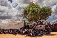 _Mui_9's tweet photo. Sudan is facing more than just war. It is facing war, mass displacement, famine and malnutrition, a collapsing healthcare system, and a severe lack of humanitarian aid. Children are paying the highest price #Sudan #SaveSudansChildren #SudanCrisis https://t.co/CtnbTnMTuU