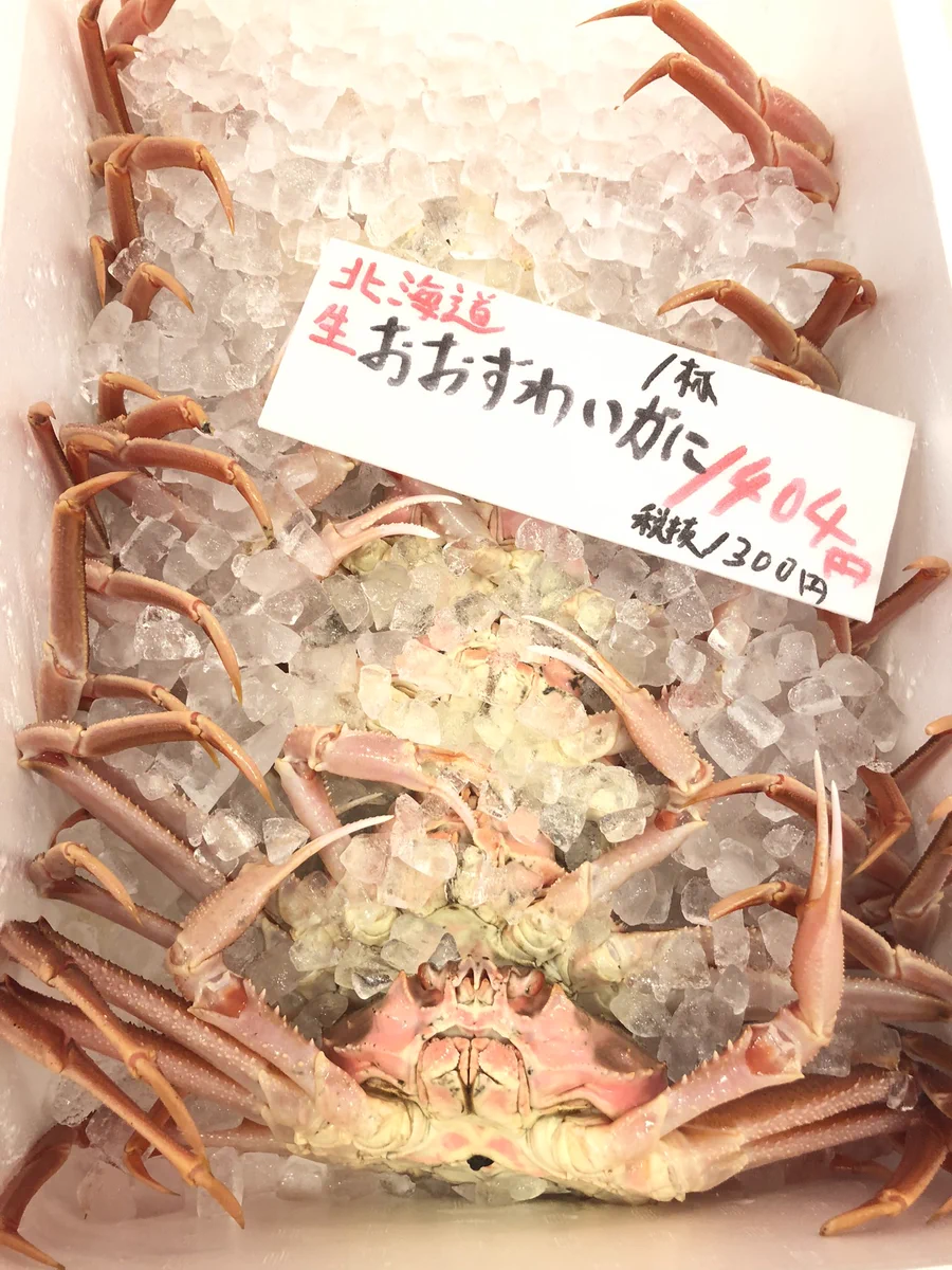 吉池 on X: 