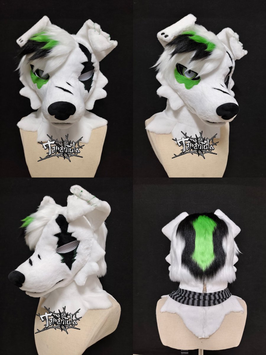 Tarantula401's tweet photo. Premade fursuit for sale

head height up to 27cm
head circumference up to 60cm
Includes:
Head
Paws
Scarf

The price is $550. Shipping is not included.
If you like him,please DM.
#furry #fursuit #fursuitmaker #fursuitFriday https://t.co/nh0OAa3kd4