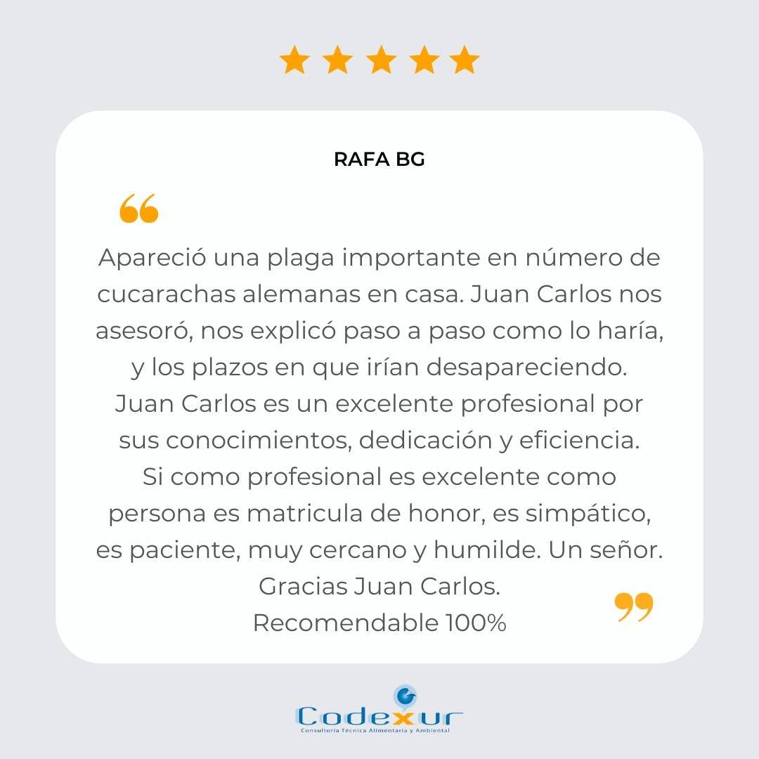 codexur's tweet photo. ¡Muchísimas gracias por confiar en nosotros Rafa! Estamos felices de haberte podido ayudar 😊 https://t.co/DXLYqSDVgK