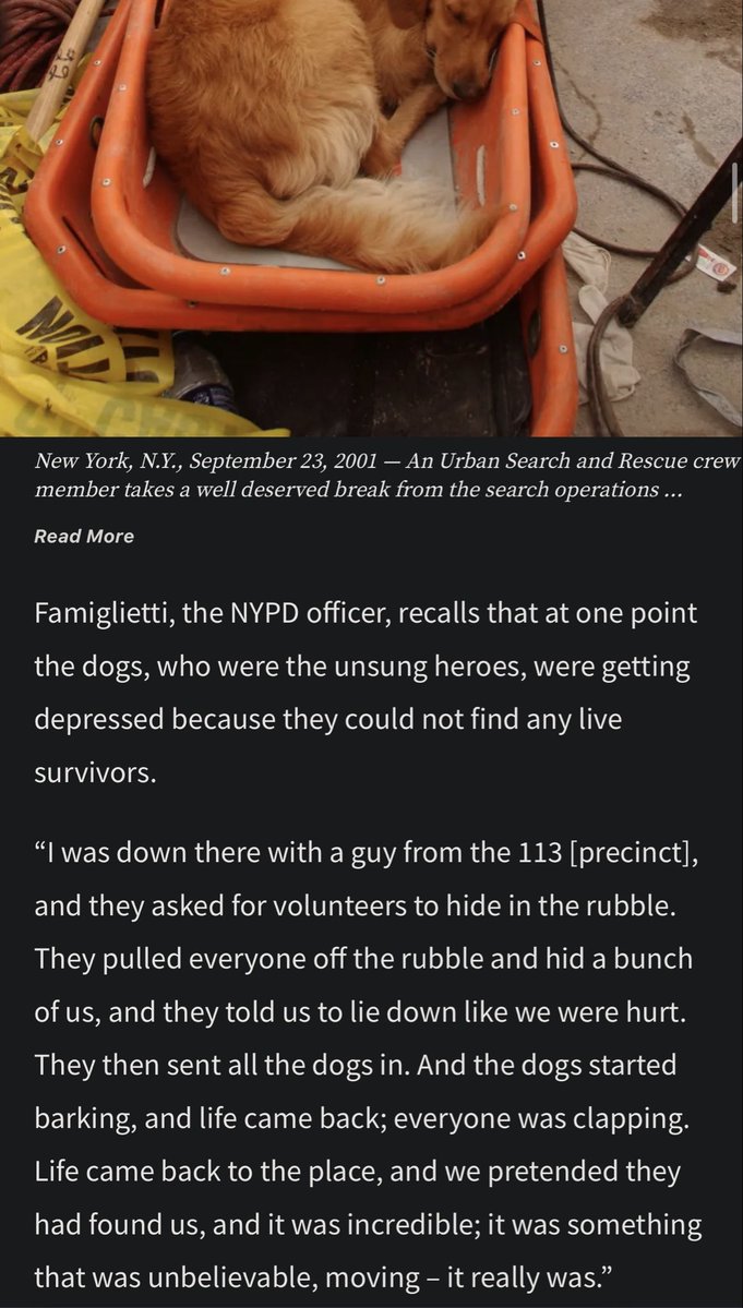 MechaMyers's tweet photo. Only thing I'll mention about 9/11 today since I don't see it mentioned as much: 

The search dogs got visibly stressed and actually lost morale from finding so many deceased people that workers would have to stage "successful rescues" (live people) for them. 

Man, my heart.. https://t.co/BELZBZhyOt