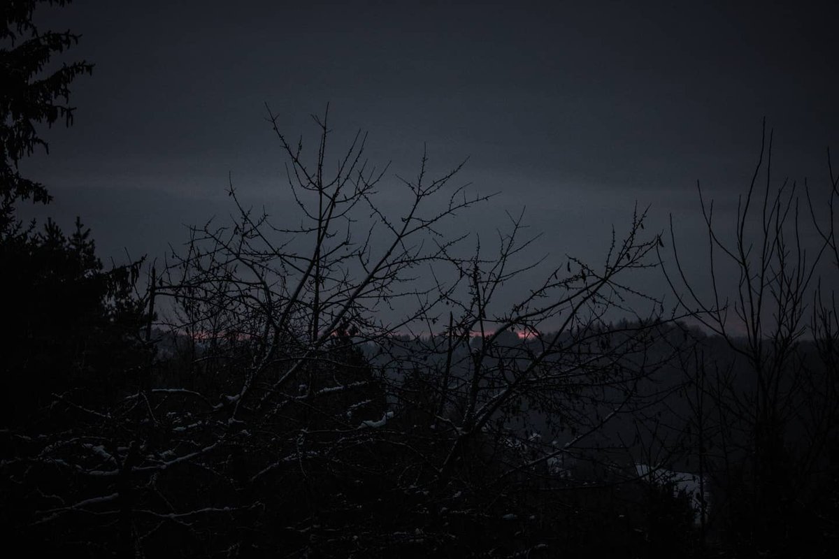 ChristinTanzi's tweet photo. A cold winter morning... https://t.co/RQW24BKGLP