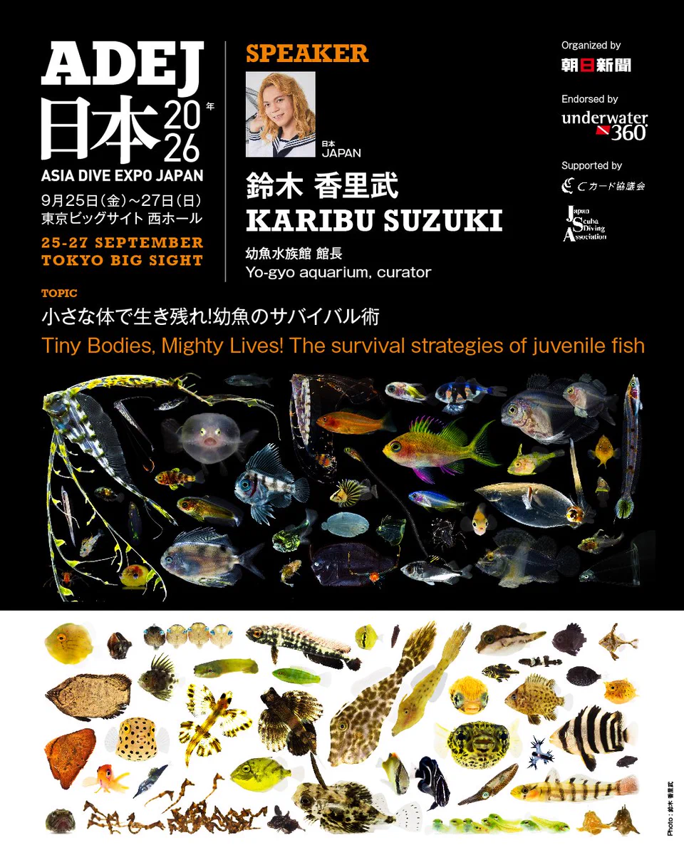 鈴木香里武🐠幼魚水族館 館長 - Karibu Suzuki - on X: 