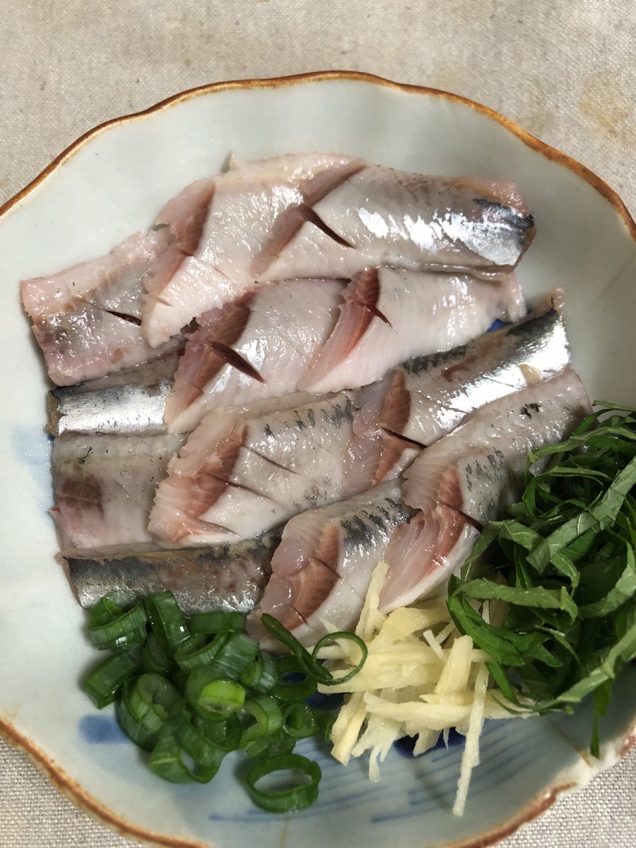 tsukamo03's tweet photo. スルメイカ、イワシ、あらゆる生き物に食べられる生態系最下位の生き物、安くて美味い。 https://t.co/R4Wgdq2Z64