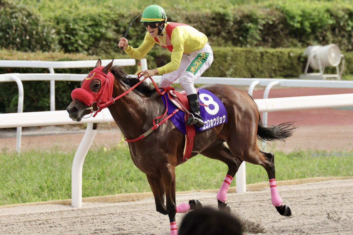 bancorobuchi's tweet photo. 2026/09/11
笠松9Ｒ 重賞第11回西日本3歳優駿
優勝 ゴコクホウジョウ号（塚本征吾）
父:ルヴァンスレーヴ
母:バンパークロップ（母父:クロフネ）
馬主:服部和明氏
調教師:今津博之（愛知）
生産者（産地）:グランド牧場（新ひだか町) https://t.co/IOzHH9pLGE