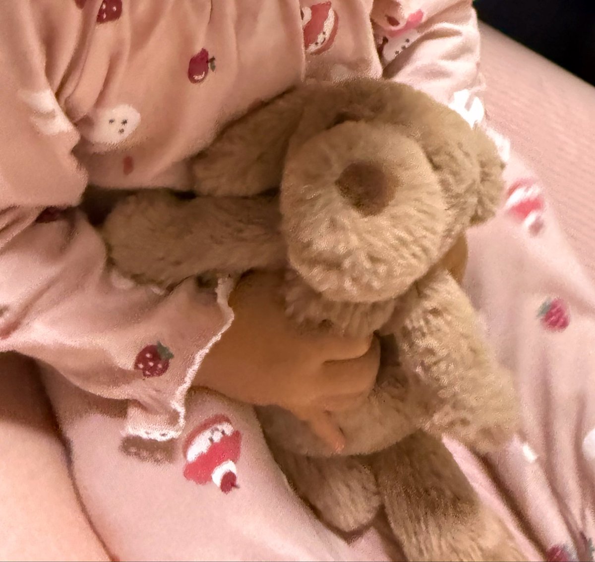 cap10ru's tweet photo. 雑貨屋さんでかわいいと思ったけど買わずに帰って、でもなんだか思い出してしまって数日後に買いに行った犬のぬいぐるみ、娘もすごく気に入ってて嬉しい。ふわっふわで触り心地最高だったけどかわいがりすぎて毛並み乱れてきたのが少しさみしいけど。 https://t.co/wolSWZ9Dr1