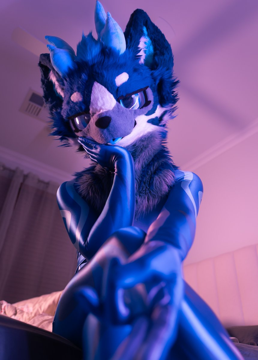 KairuDoggo's tweet photo. good boi
#FursuitFriday https://t.co/DiQd2W1CQm