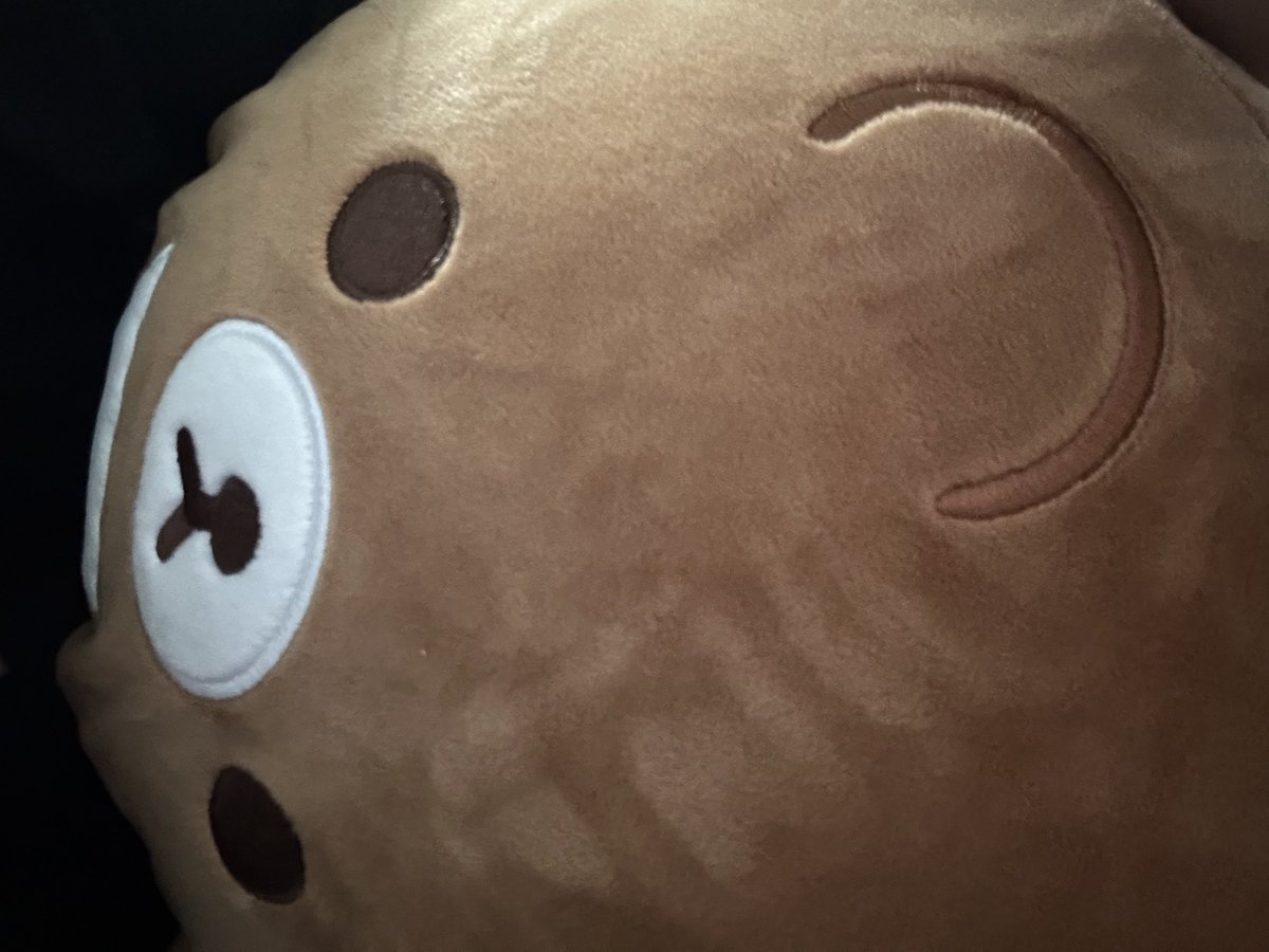 cherishy_ou's tweet photo. 나두 코구마 바디필로우 있당!!!
생각보다 더 짧뚱하고 빵빵하고 껴안고만 잇어도 넘무 행복해..🍯🤎 https://t.co/IfvldUMXM1