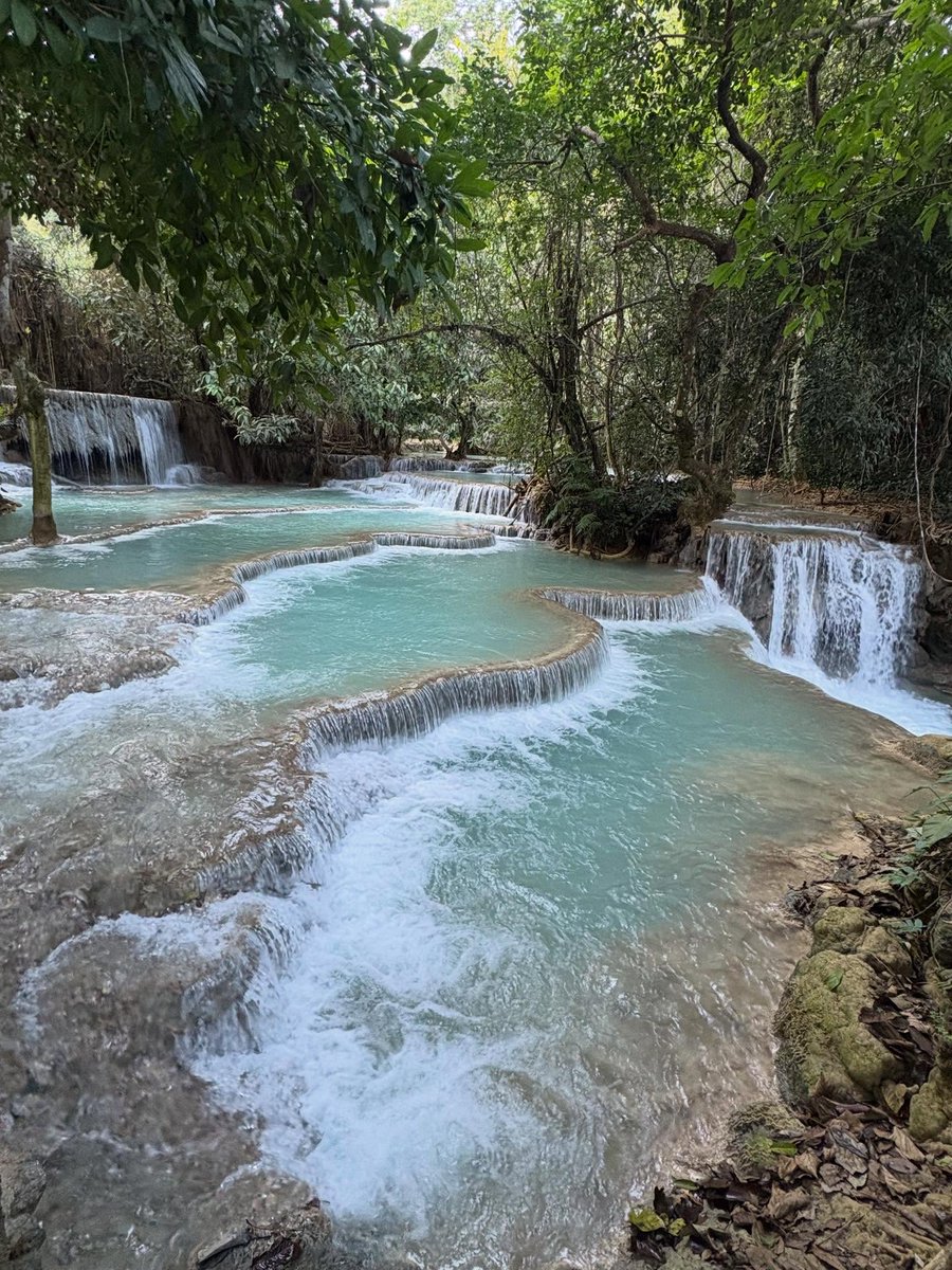 mknszca's tweet photo. Kuang Si Waterfalls, Luang Prabang, Laos https://t.co/P5odBgclcy