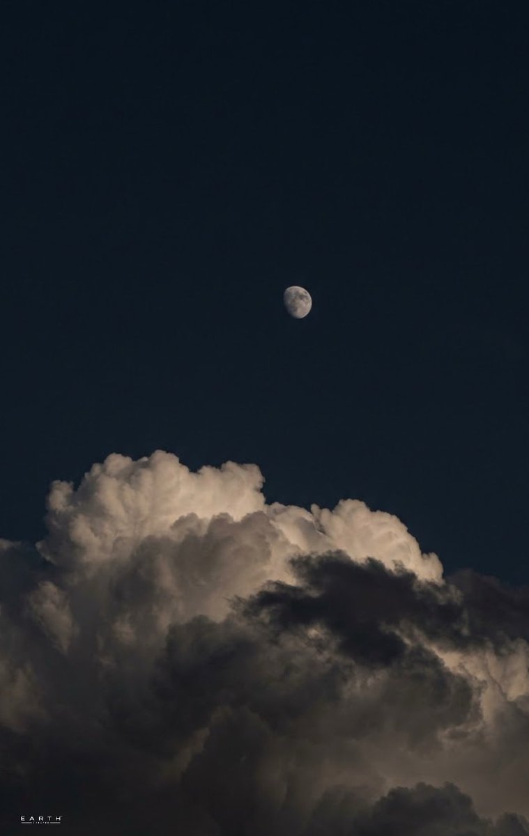 earthcurated tweet picture