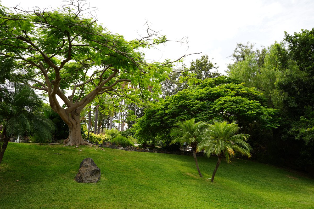 HotelPVEden's tweet photo. Nuestros jardines son mucho más que espacios verdes, son parte del alma de Parque Vacacional Eden 💚✨

Hoy queremos dedicar un agradecimiento muy especial a nuestro equipo de jardinería, por su dedicación y trabajo diario para mantener cada rincón tan bonito 🌿 https://t.co/qnTfMFdlMw
