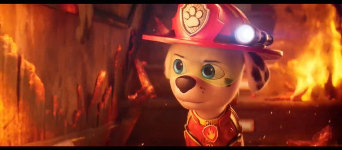 hoangkhang5686's tweet photo. determine Marshall #pawpatrol https://t.co/IJuZGNQtBw