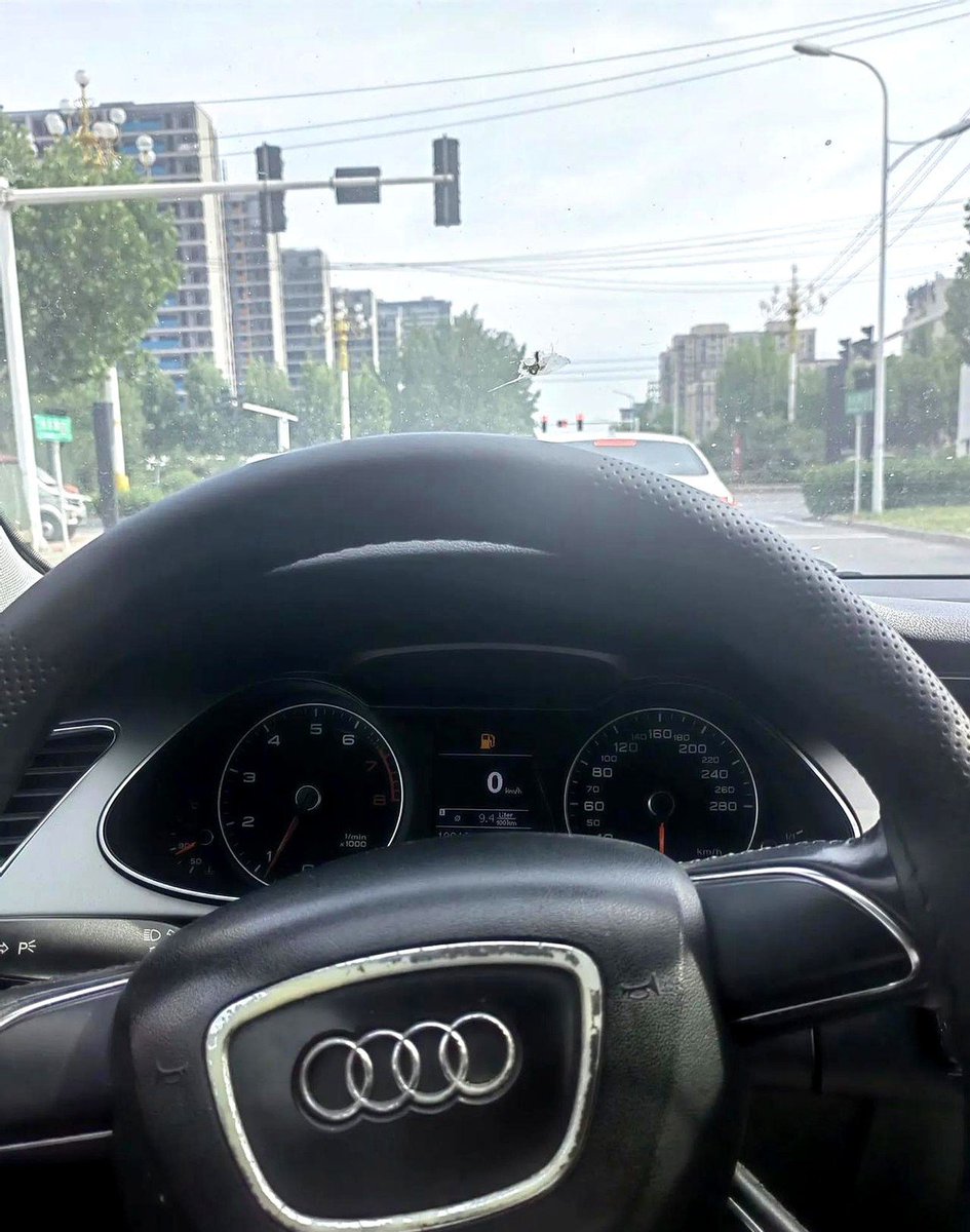 Momo14491479's tweet photo. Just nailed my first parallel parking attempt in driving school today—cheers to not turning into a road hazard (for at least 30 minutes)! https://t.co/HmB6TkAlBW