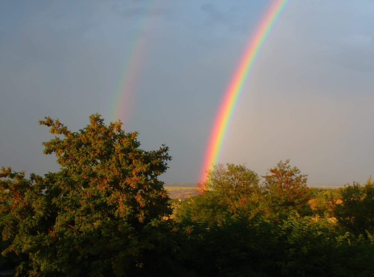 AngeLtongue's tweet photo. Happy Friday! #X #FridayMotivation #FridayVibes #LoveAndLight #WorldLove #UniversalLove #HappyWeekend #Peace✨💎🕊️🌎🌍🌏💚🌈☀️🌸🍁✨🎁💎 https://t.co/FQqlq1H4dr