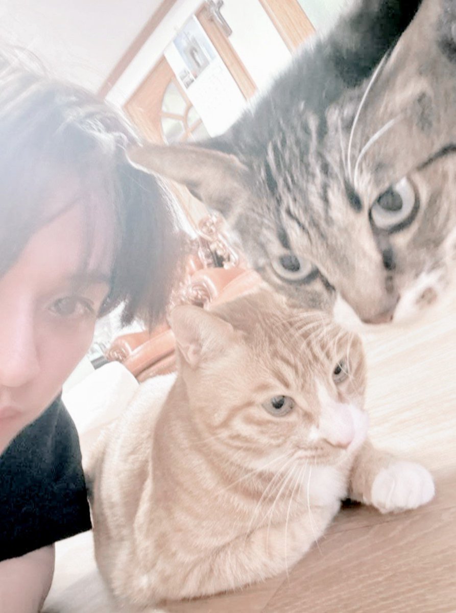BERRIESEYESZ's tweet photo. ⠀⠀
⠀⠀Com⠀os⠀passa⠀fome.
⠀⠀ https://t.co/bqtQ2q7ViM