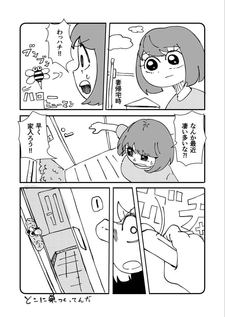 ringooooooooooz's tweet photo. おかえり https://t.co/AqUCp18lS1