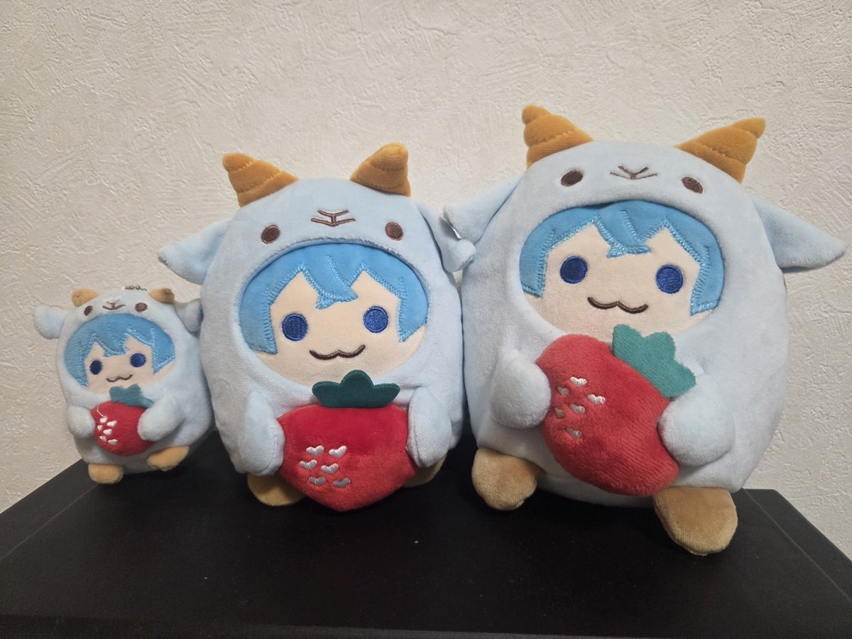1207hono's tweet photo. みんなで並べるとめっちゃかわいい！！！ https://t.co/EJSPUypnXj